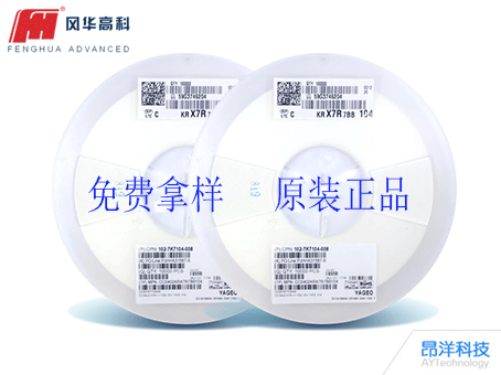 國(guó)巨電容 國(guó)巨電容